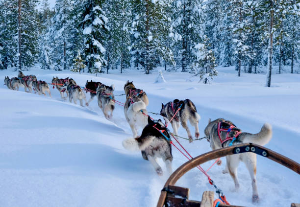 LAPLAND ; NOEL BABA'NIN EVİ VE BUZKIRAN GEMİSİ