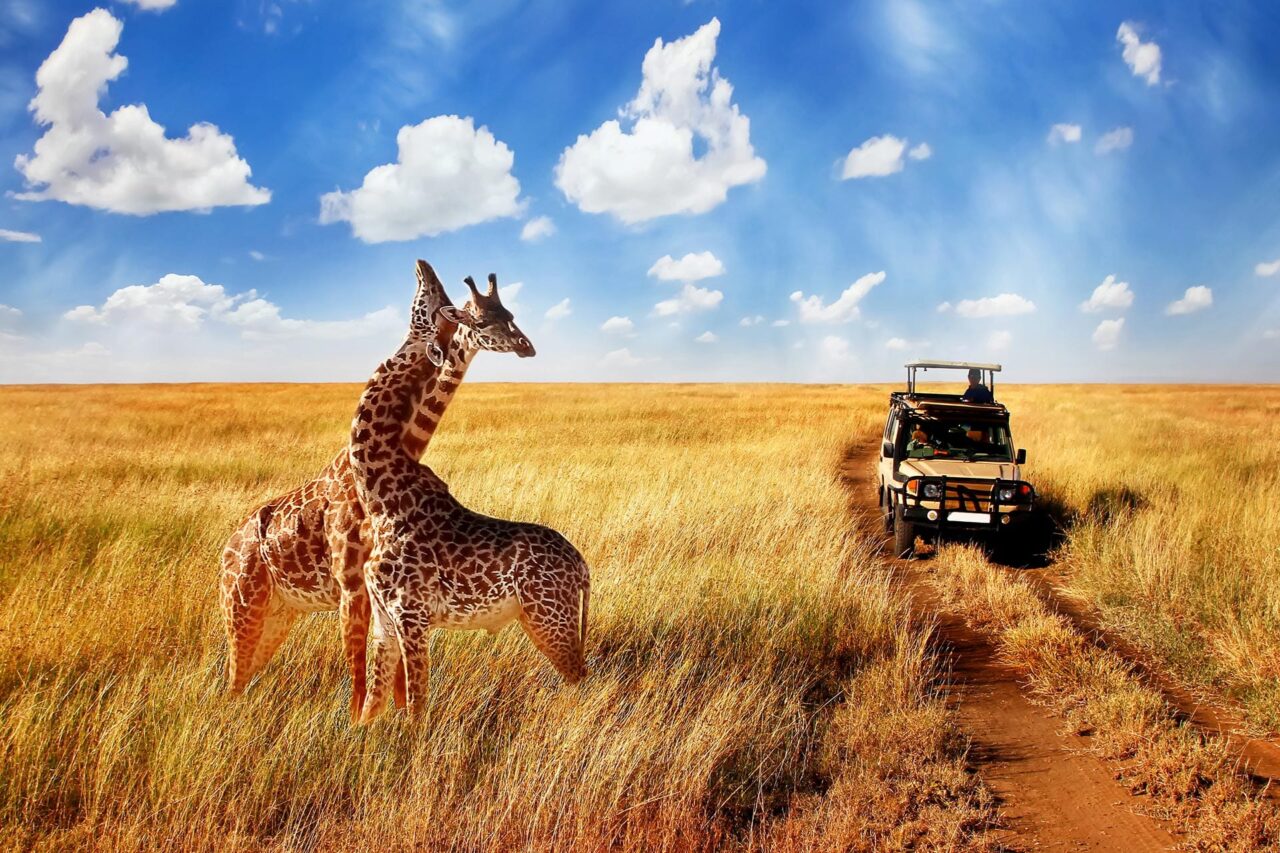 KENYA - ZANZIBAR SAFARİ ve OKYANUS TURU