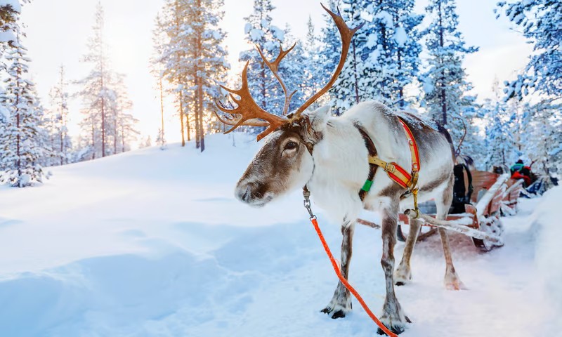 LAPLAND; NOEL BABA'NIN EVİ ve BUZKIRAN GEMİSİ