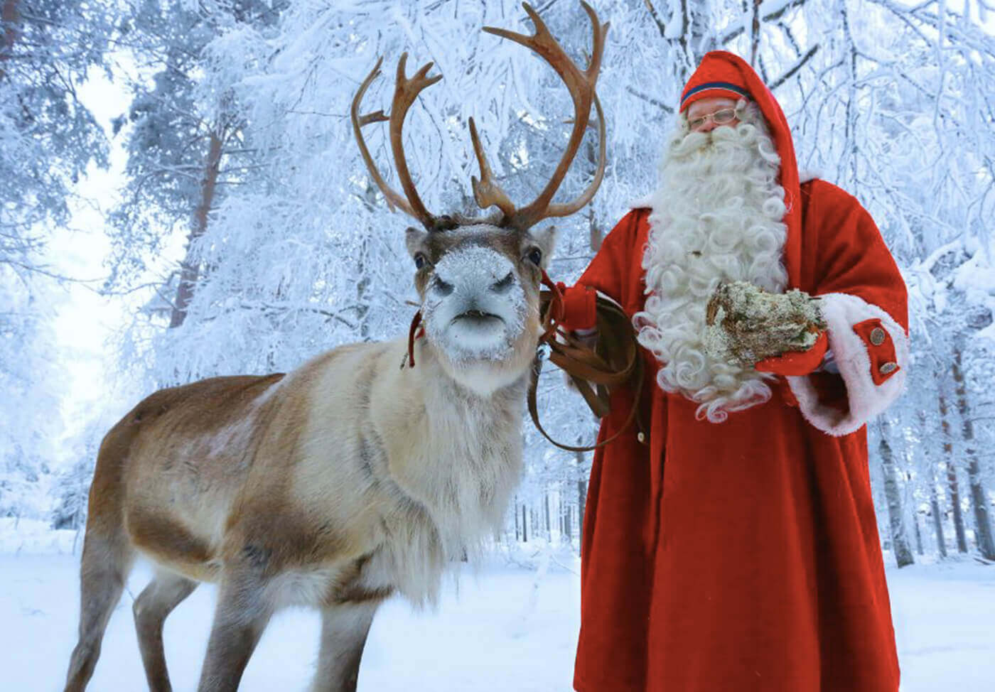  LAPLAND YILBAŞI  EXCLUSİVE VE BUZKIRAN TURU