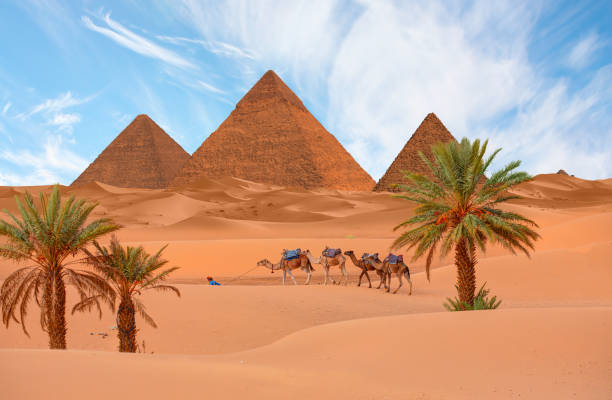 KADİM MISIR ; LUKSOR , ASVAN VE KAHİRE 